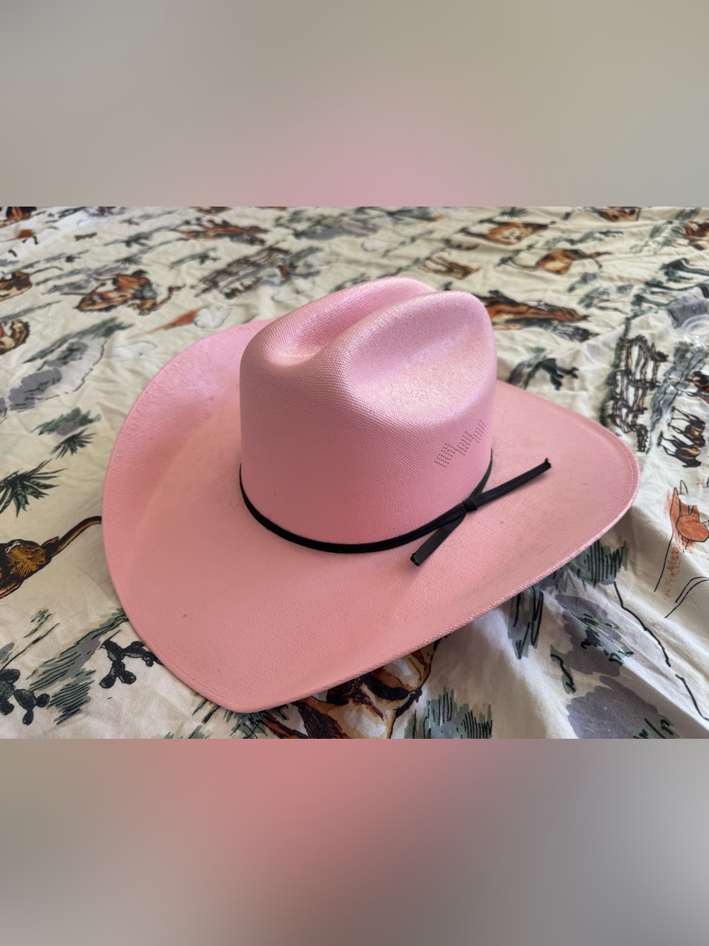 Long Live Cowgirls Pink Straw Western Cowboy Hat Size L